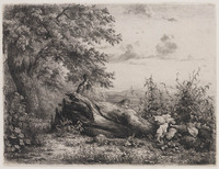 KG 08253
          <br/>
          Landschap met omgevallen boom
          <br/>
          <em>Dubourcq, Pierre Louis (1815-1873)</em>